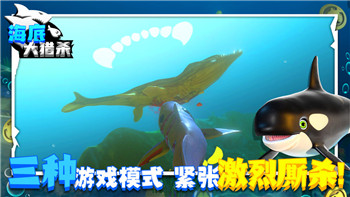 北境之地哪个种族战士厉害？分析各大种族战士的强弱与特色