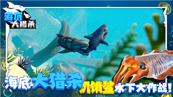 贪吃小怪物好玩吗？揭秘这款游戏的趣味性与挑战性！