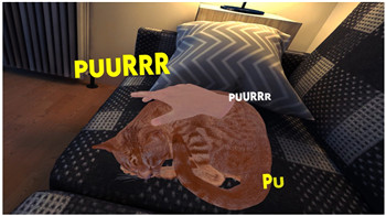 灵猫传官配是谁？揭秘灵猫传中的角色关系与魅力配对