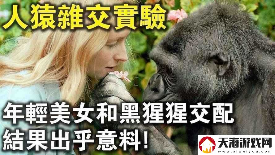 为什么欧美性受与类人猿的XX如此不同