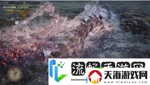 怪物猎人荒野测试版怪物弱点汇总