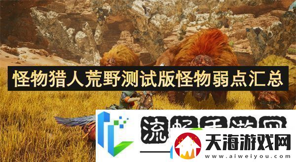 怪物猎人荒野测试版怪物弱点汇总