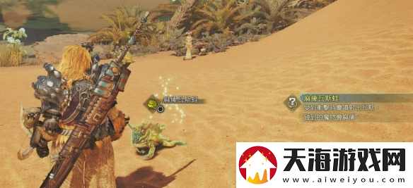 怪物猎人荒野全环境生物捕捉攻略