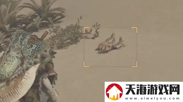 怪物猎人荒野全环境生物捕捉攻略