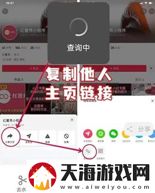 抖音账号权重查询入口