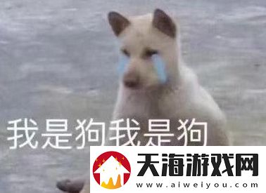 cwm小国际是什么梗网络用语