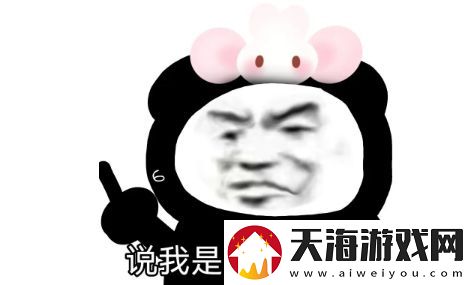 搞笑女是什么梗络用语-搞笑女梗意思及出处分享